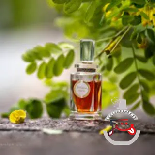 Acaciosa Parfum Caron